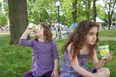 The girls usually chose watermelon, although I prefer the 'real' frozen lemonade.