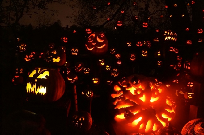 A photo from the 2012 Jack-O-Lantern Spectacular.